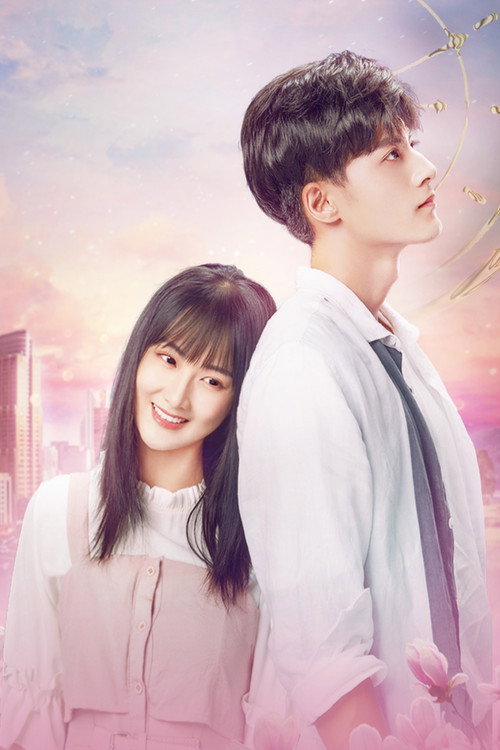 Affiche de 我在窗口遇见他