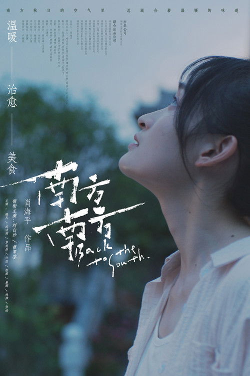 Back to the South poster