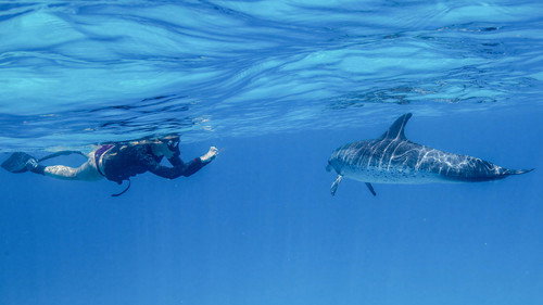 Image du film
