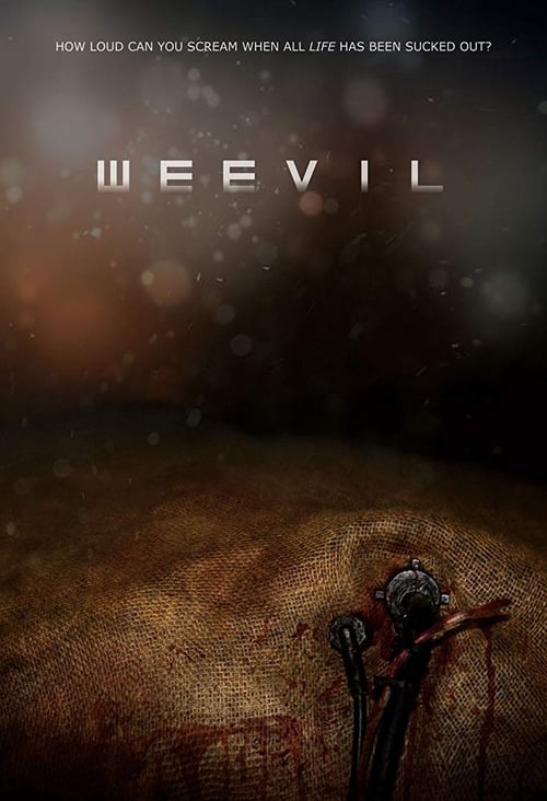 Weevil 2018