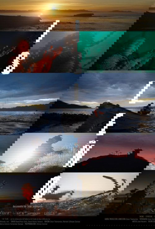 Islander