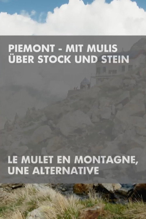 Piemont - Mit Mulis über Stock und Stein