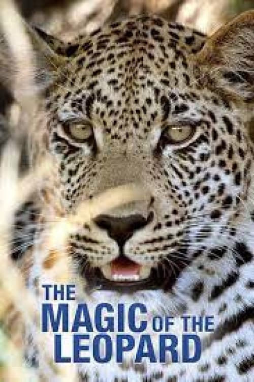 The Magic of the Leopard (2012)