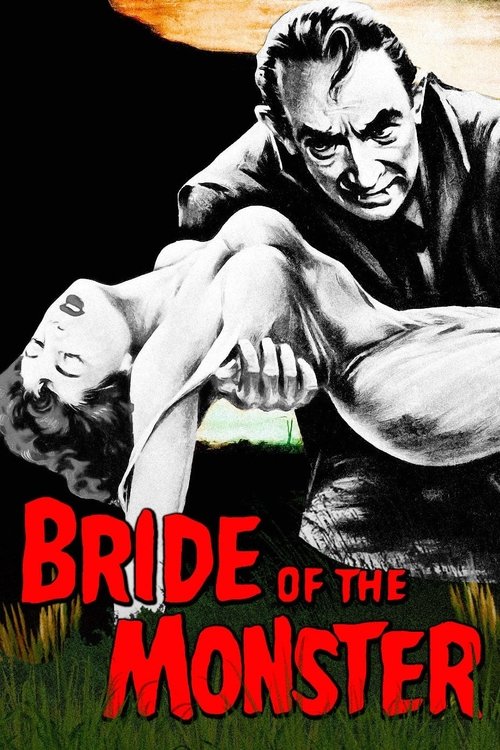 Poster 13