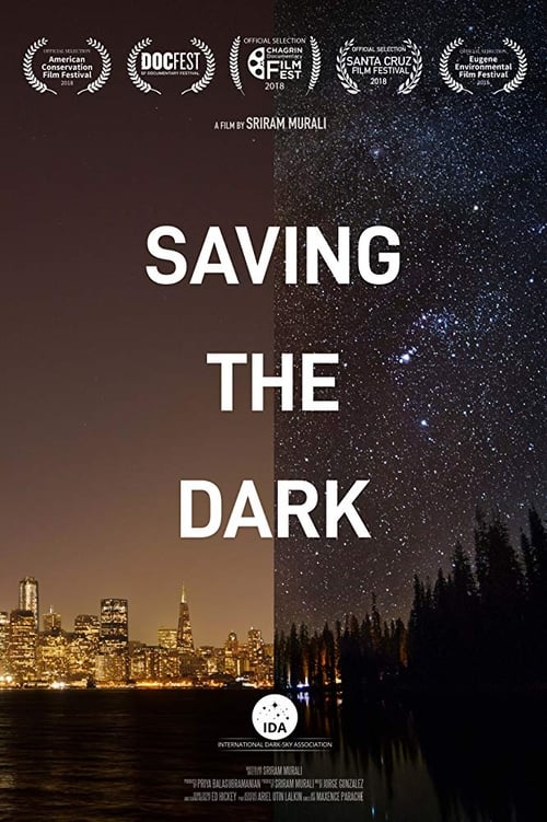 Saving the Dark movie poster player