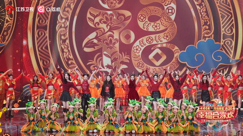 幸福合家欢·2025江苏卫视ai荔枝春节联欢晚会 Backdrop Blur