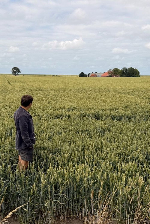 Vaderland: in het spoor van Ede Staal