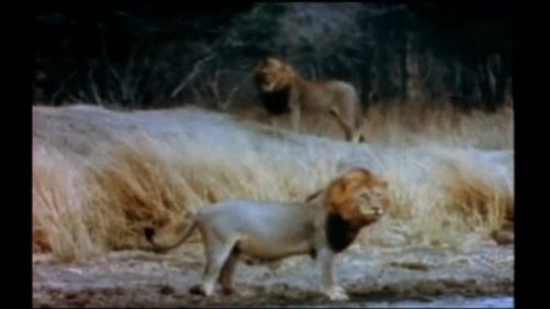Image de l'épisode 14