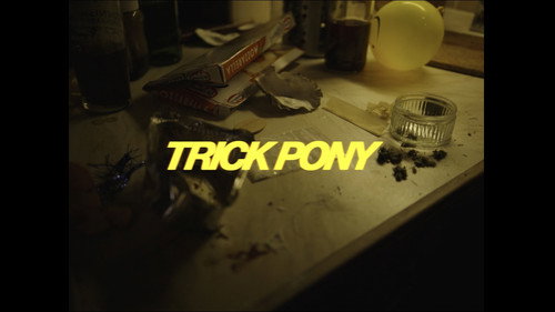 TRICK PONY