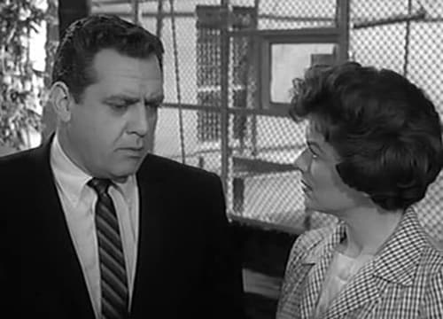 Poster della serie Perry Mason