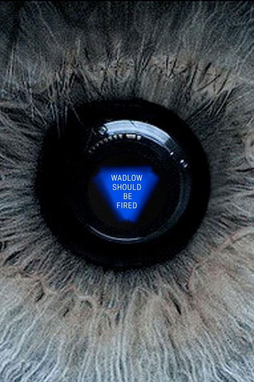 Magic 8 Ball 