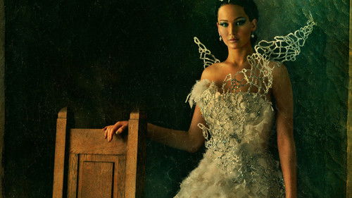 Jogos Vorazes: Em Chamas