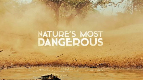 Nature's Most Dangerous Backdrop Blur