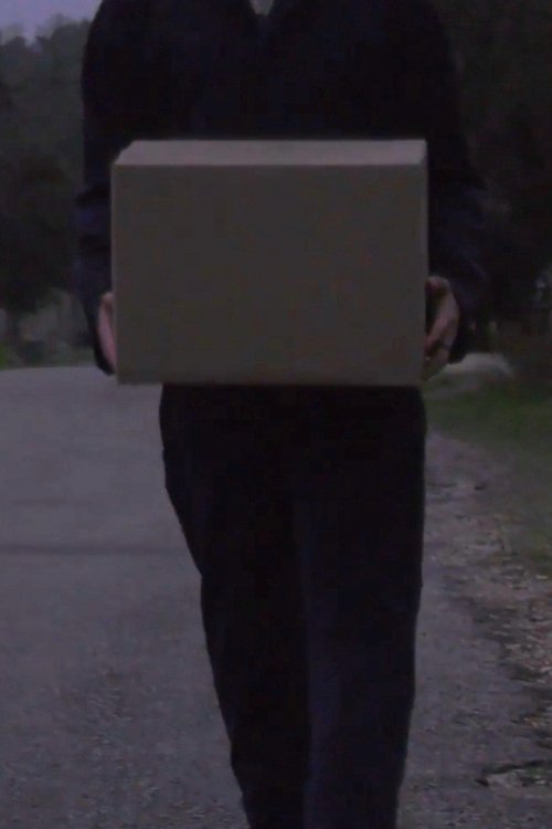 Delivery poster
