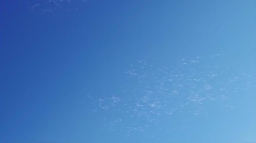 Mossa a sorpresa di Darius