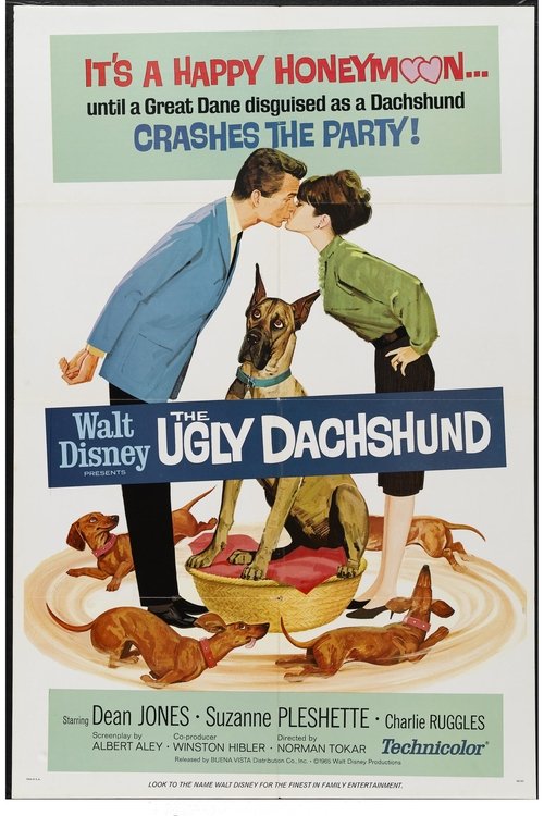 The Ugly Dachshund poster