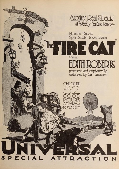 The Fire Cat