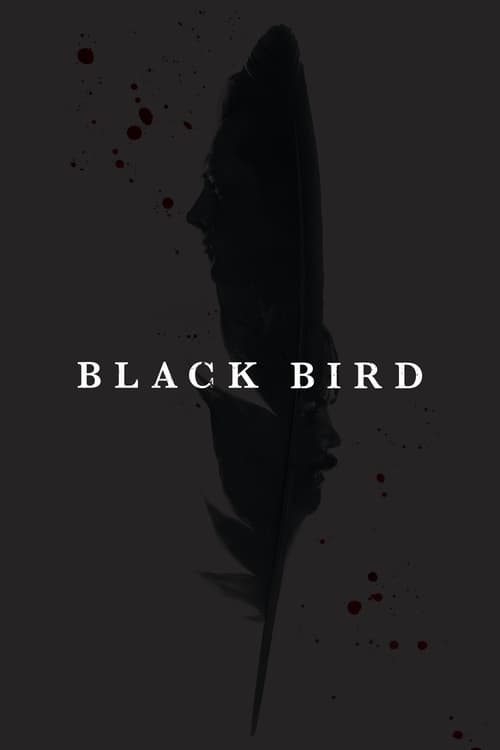 Juodasis paukštis