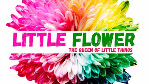 Little Flower - Season 1 Backdrop Blur