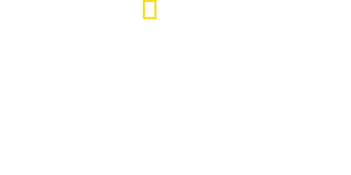 Bloody Tales of the Tower