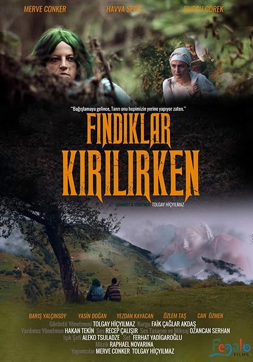 |TR| Findiklar Kirilirken