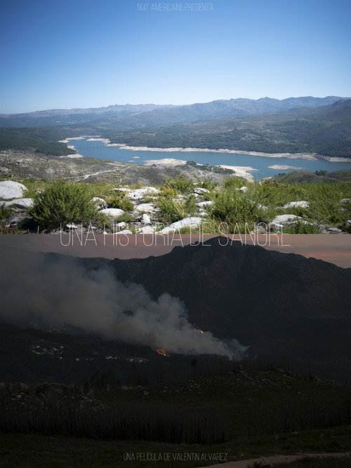 Una Historia de Sangre