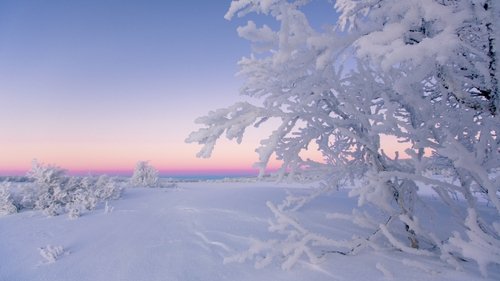 One Strange Rock: 1×7