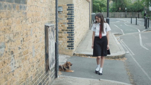 Dog Days — Fundos 1