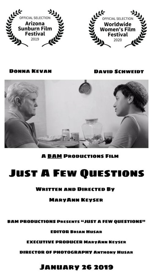 Just a Few Questions movie poster player