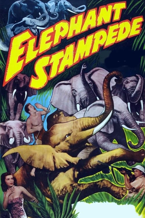 Elephant Stampede Movie Poster Image