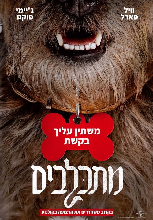 מתכלבים / Strays לצפייה ישירה