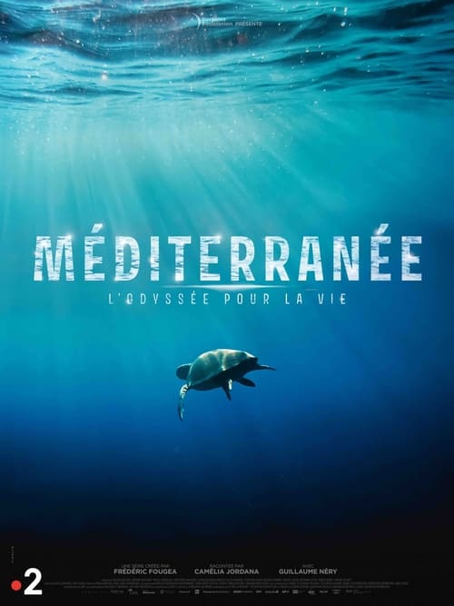 Méditerranée: L'odyssée pour la vie poster