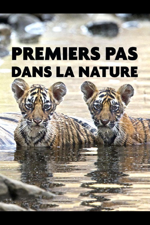 Premiers pas dans la nature