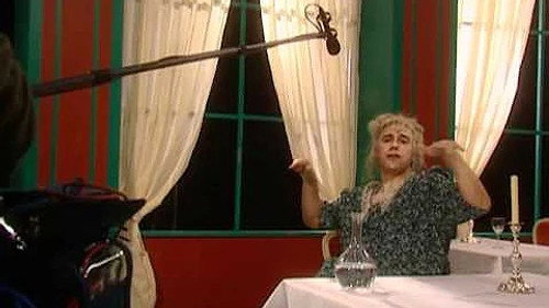 Making of Geluidsopname Jerry Springen scene - Daar Vliegende Panters I