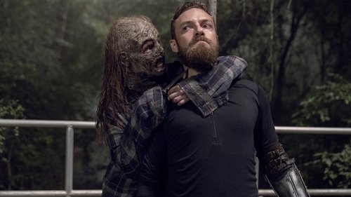 Assistir The Walking Dead S10E07 – 10×07 – Dublado