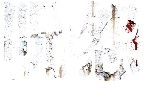 呪怨 ザ・ファイナル