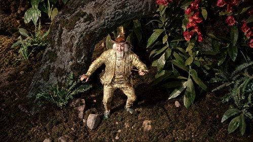Tales from the Black Forest