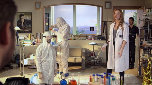 Les Experts du porno