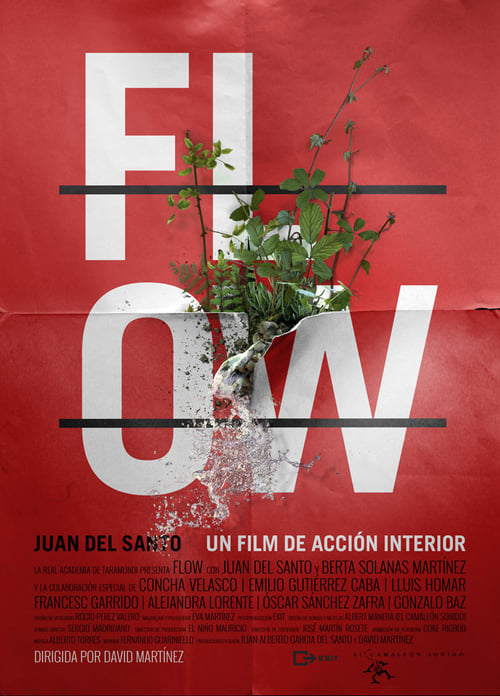 Poster Flow 2014