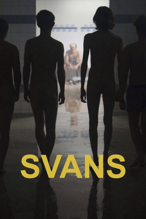 Swans poster