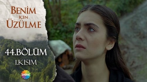 Image de l'épisode 12