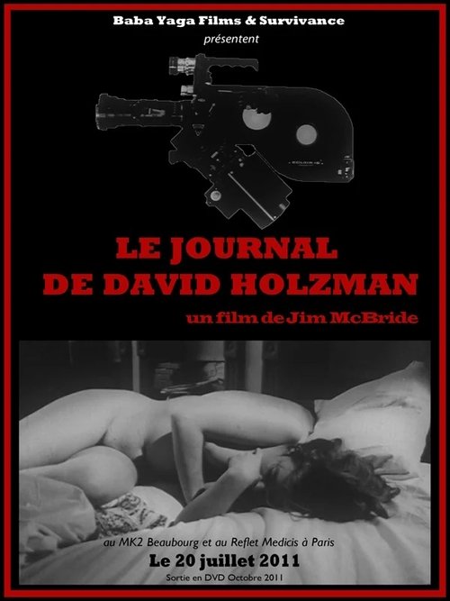 Le Journal de David Holzman (2011)