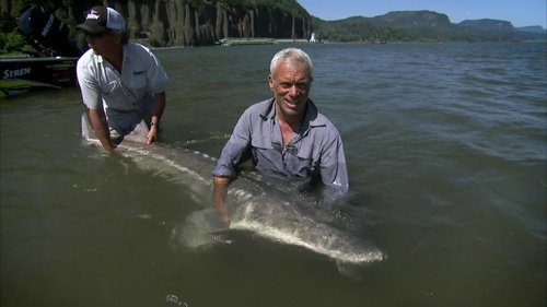 Poster della serie River Monsters