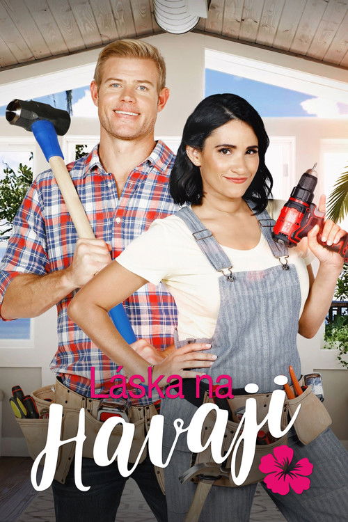 Aloha with Love poster