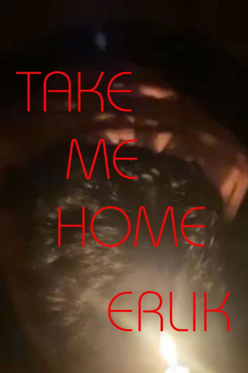 Poster of Take Me Home, Erlik