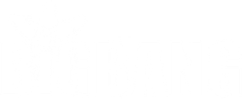 Big Bang: A Teoria - Logo 5