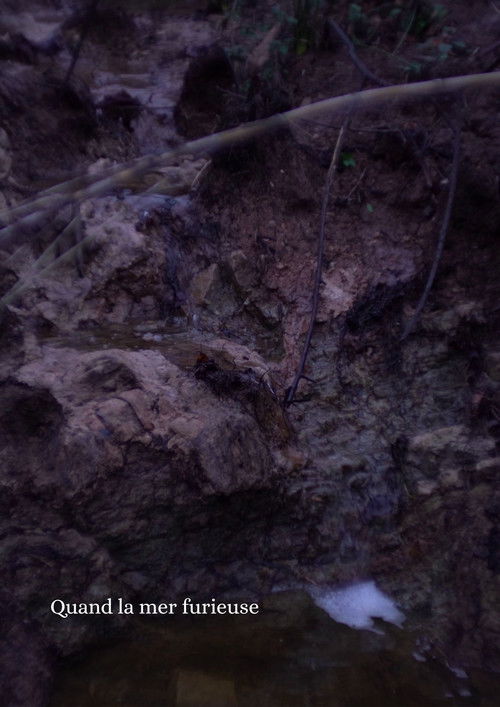 Cartell de Quand la mer furieuse