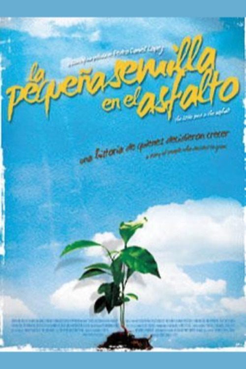 La pequeña semilla en el asfalto movie poster player