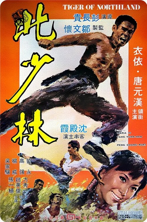 北少林 movie poster player