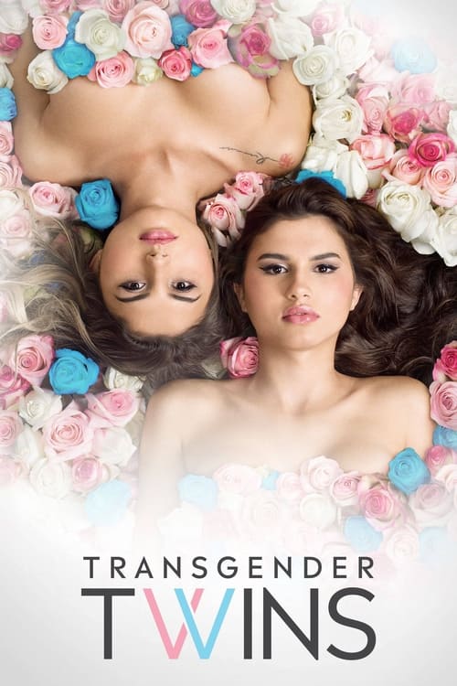 Poster Transgender Twins